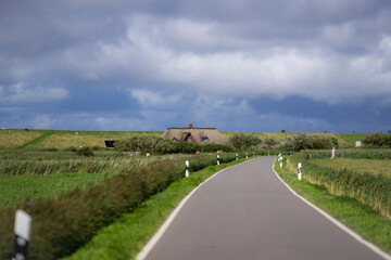 Obraz premium Countryside road. Driving down an empty road. Highway in mountains. Car driving on road. Road landscape. Car trip. Destination.