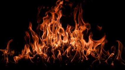 Fototapeta premium Fire background. Abstract dark background. Fire flame background. Abstract fire flame background. Large burning fire.