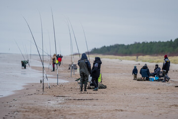 Surf bay salt water fishing from standing on a shore. Fisherman catching fishes in Baltic Sea with fixed fishing rods on the beach. Mazirbe, Latvija November 2024 - winter fishing