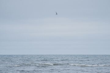 Very cold Baltic Sea water waves in cold autumn weather in sea