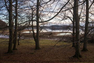 Beautiful autumn landscape in the forest with a lake in the background