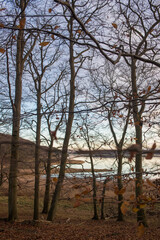 Beautiful autumn landscape in the forest with a lake in the background