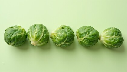 Obraz premium Fresh Brussels sprouts on a light background, close-up, soft natural lighting, top view, neatly arranged in a row, sharp detail on leaf texture