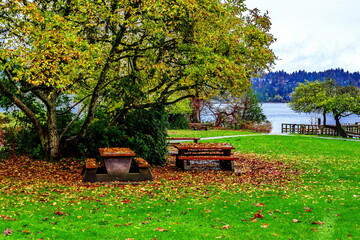 Fototapeta premium A late autumn evening at a picnic area in Belcarra Regional Park on the shore of the bay. Picnic tables are located on the shore under deciduous trees covered with fallen leaves
