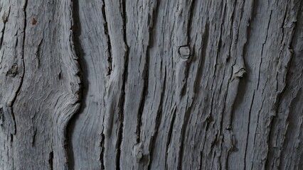 Fototapeta premium texture of smooth beech bark,