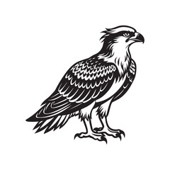 American osprey bird silhouette vector art illustration 