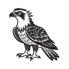 Fototapeta premium American osprey bird silhouette vector art illustration 
