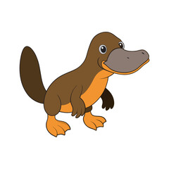 Realistic Platypus vector art illustration 