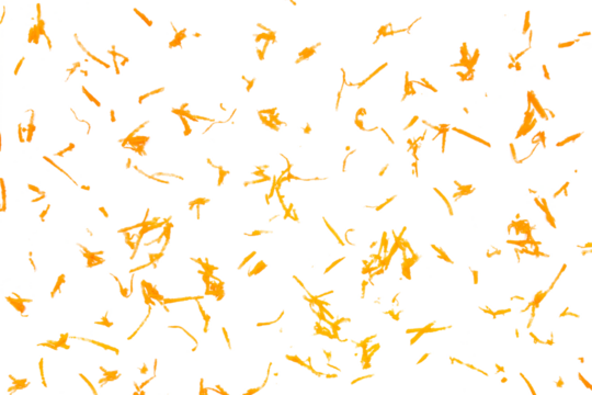 Fresh grated carrot isolated on white, texture