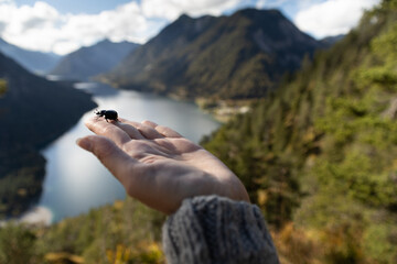 a beetle sits on a woman's hand against the backdrop of an autumn or spring landscape. love for nature. The value of any life.
