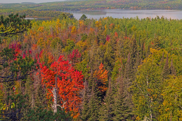 Autumn Starting to Show in the Great North Woods