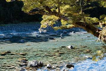 Crystal clear blue glacier water mountain river in New Zealand