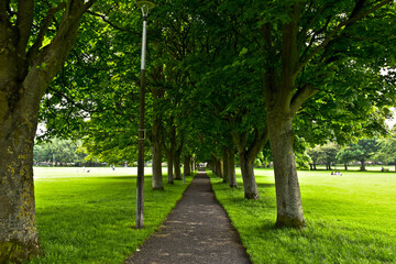 Walk into the nature