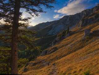 Beautiful autumn day on a Hohe Veitsch mountain in Alps