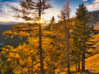 Beautiful autumn day on a Hohe Veitsch mountain in Alps