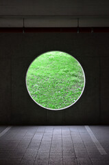 Green turf grass texture and background. Green grass field. Green grass for golf course, soccer, football, sport