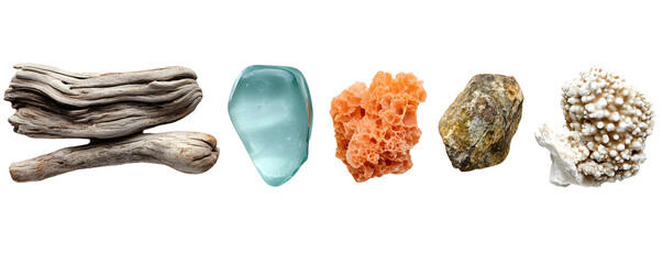 Two pieces of driftwood, a piece of sea glass, a piece of coral, and a rock are lined up on a white background, isolated on a transparent background.