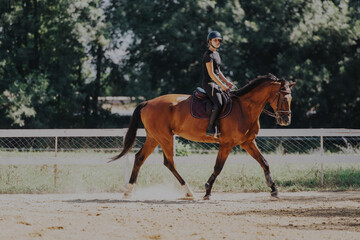 A female equestrian skillfully rides a horse in an outdoor arena, showcasing grace and control...