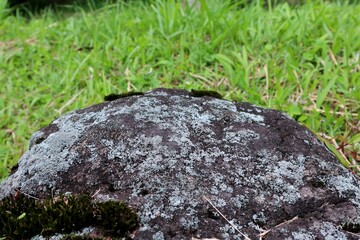 Black stone overgrown with moss with a green grass background. Product Photo Spot Concept