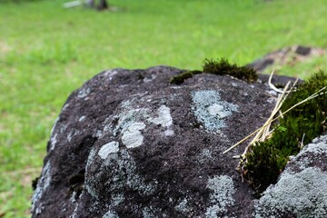 Black stone overgrown with moss with a green grass background. Product Photo Spot Concept