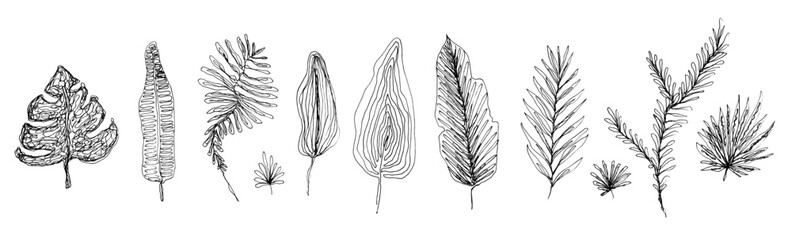Botanical set of abstract freehand vector black ink hand drawn leaves, herbs and branches. Floral sketch one line leaf elements for pattern and tattoo design, greeting card decoration, logo, banner © Tatahnka