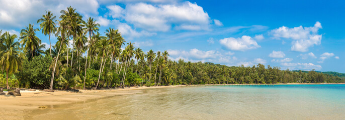 Panorama of  Tropical beach
