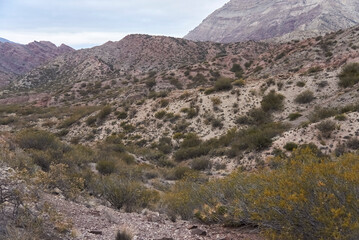 Andean mountain scenery in the province of Mendoza, Argentina; shrubs and sparse vegetation in a mountainous landscape.