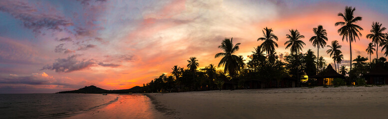 Silhouette Palm Sunset  