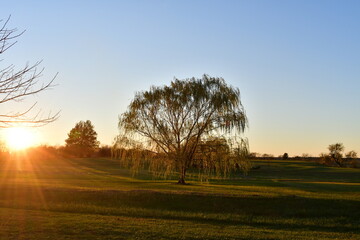 Fototapeta premium Golden Hour Sunset