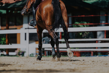 A horse gracefully trots in an outdoor training arena, with an equestrian rider. The sunny day...