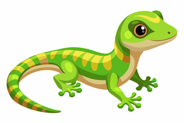  Madagascar day gecko on white background vector illustration