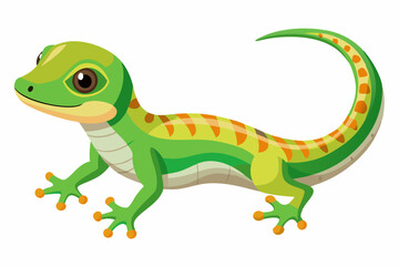  Madagascar day gecko on white background vector illustration