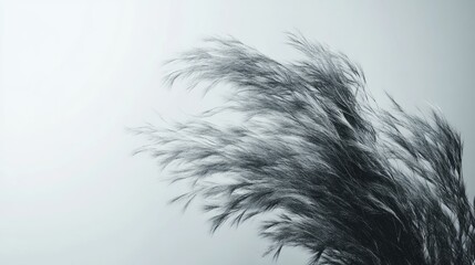 3D illustration of wind against a white background