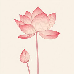 illustration of an elegant lotus flower, with pink lines on a white background