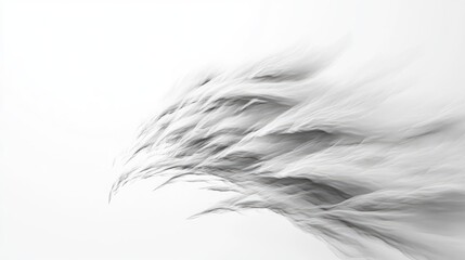 Obraz premium 3D illustration of wind against a white background
