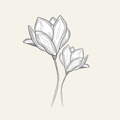 Hand drawn blooming flowers bouquet spring flower outline