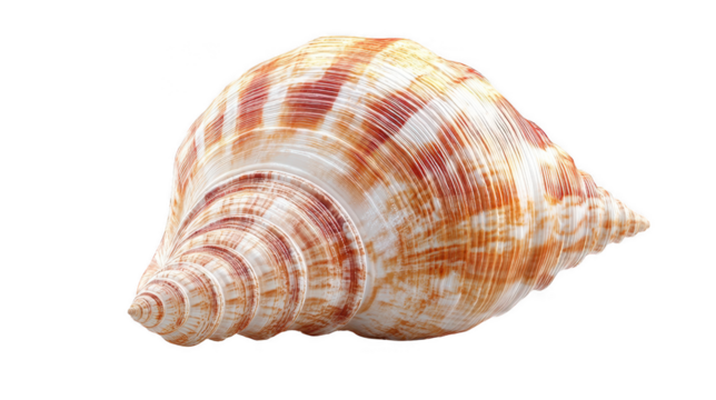 detailed spiral sea shell with vibrant orange and white patterns, showcasing its unique texture and form. This photorealistic image highlights shell intricate design and soft shadows