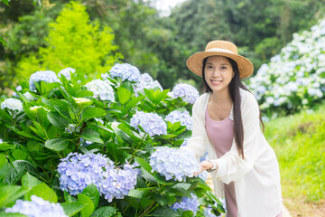 Beautiful pregnant woman in Hydrangea flower farm garden