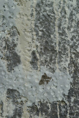 Texture or background of cement wall, abstract gray concrete texture background for showing, concrete texture, plaster, stucco wall.