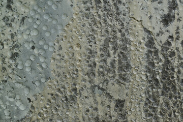 Texture or background of cement wall, abstract gray concrete texture background for showing, concrete texture, plaster, stucco wall.