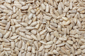 Peeled Sunflower Seeds Background: A Culinary Canvas of Shell-free Sunflower Seeds, Creating a Lively and Textured Background for Gourmet Cooking - Top View, Flat Lay