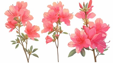 Three Branches of Pink Azalea Flowers with Green Leaves