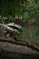 朽ち果てたトラック