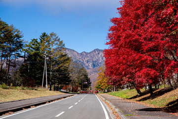 山梨県清里高原清泉寮付近から望む八ヶ岳と紅葉