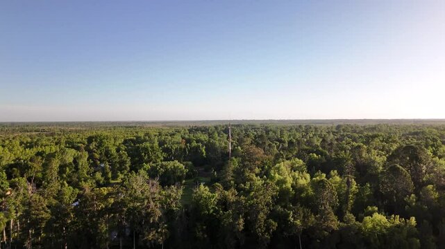 r&iacute;o paran&aacute; con arboles, mucho verde escobar, buenos aires, argentina, 
