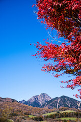 山梨県清里高原「まきば公園」から望む八ヶ岳と赤く染まったもみじ