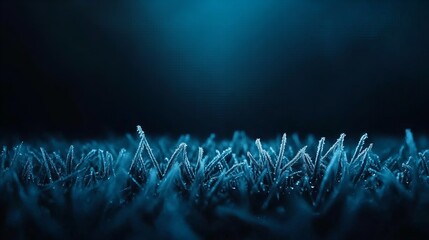 Frost-covered grass blades under cool blue lighting, set against a dark background, creating a serene and frosty atmosphere