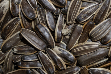 Non Salty Roasted Sunflower Seeds in Shell: A Culinary Canvas of Sunflower Kernels, Creating a Lively and Textured Background for Gourmet Cooking. Scattered Sun Flower Seeds - Top View, Flat Lay