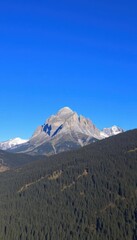 Fototapeta premium mountains with a few trees and a blue sky in the background