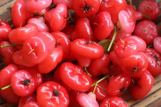 Fresh Jambu air or java apple, tropical fruit